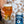 Revealed Constellations Session IPA